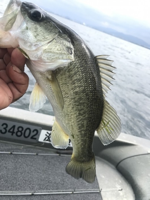 truth  ブログ写真 2020/10/05