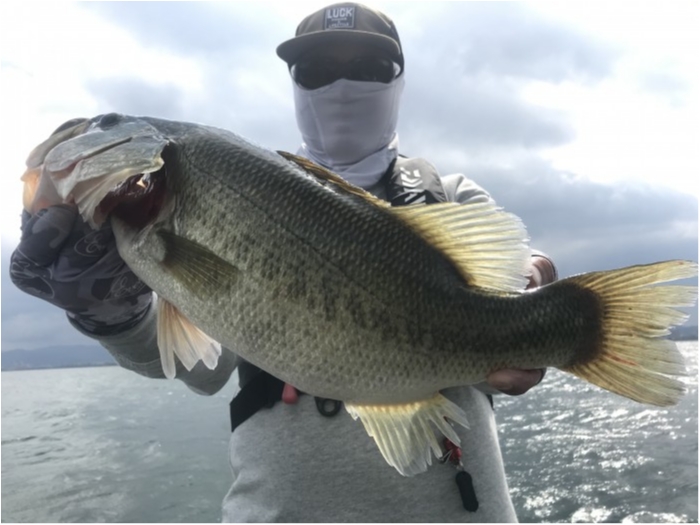 truth  ブログ写真 2020/10/05