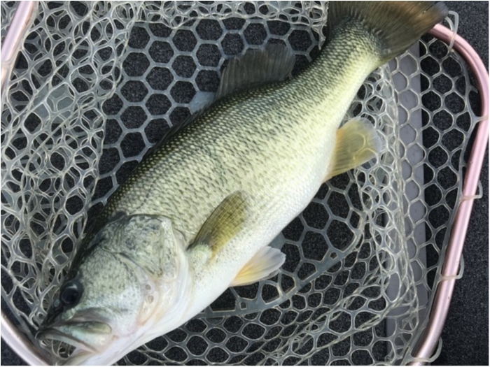 truth  ブログ写真 2020/10/05