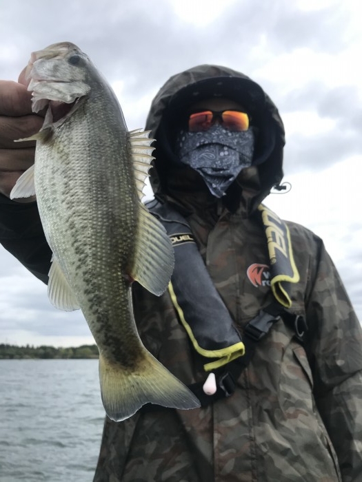 truth  ブログ写真 2020/10/06