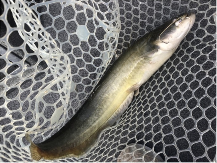 truth  ブログ写真 2020/10/07