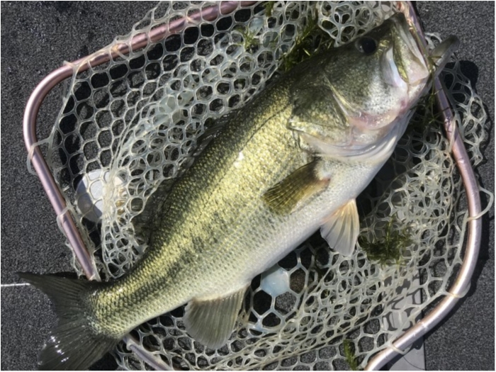 truth  ブログ写真 2020/10/07