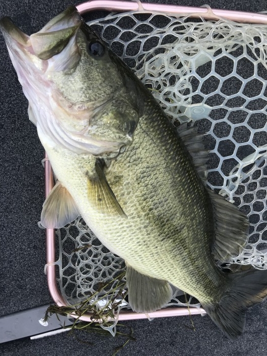 truth  ブログ写真 2020/10/07