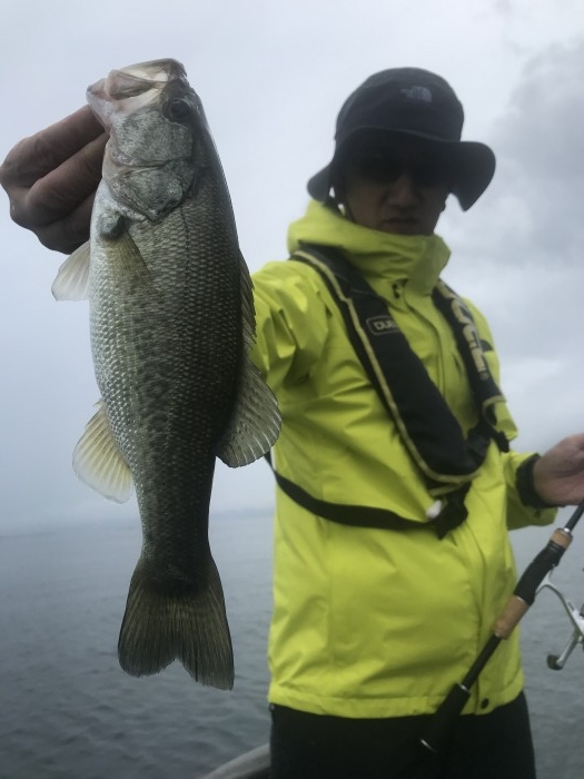 truth  ブログ写真 2020/10/09