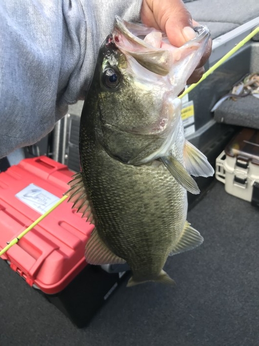 truth  ブログ写真 2020/10/11