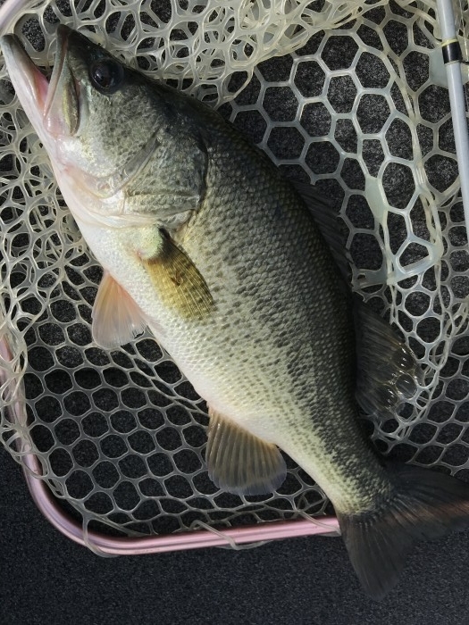 truth  ブログ写真 2020/10/11