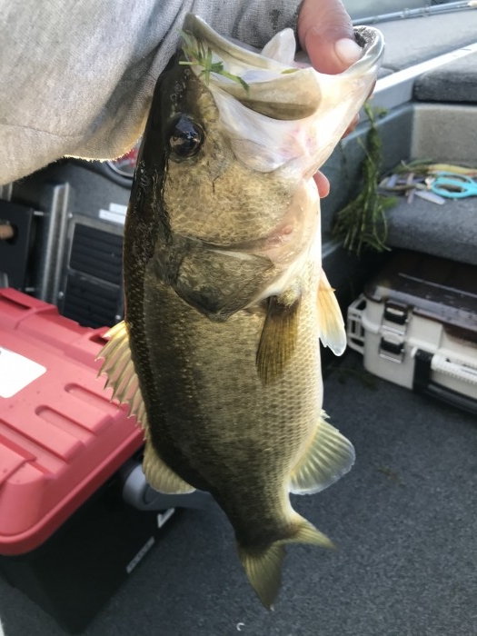 truth  ブログ写真 2020/10/11