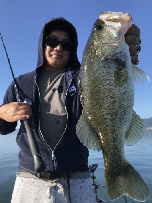 truth  ブログ写真 2020/10/12