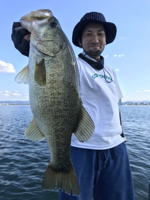 truth  ブログ写真 2020/10/12