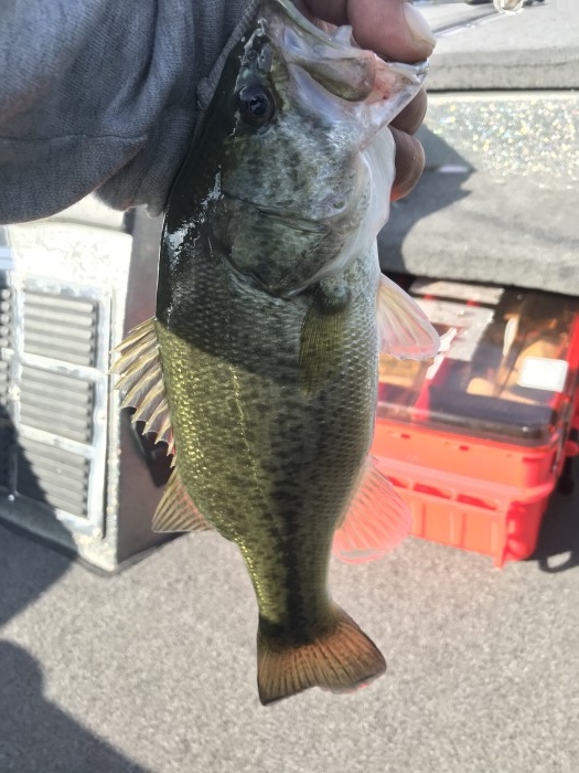 truth  ブログ写真 2020/10/13