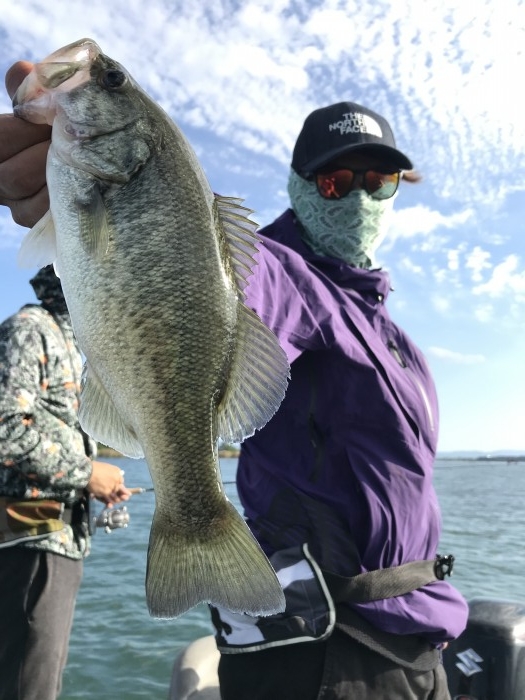 truth  ブログ写真 2020/10/13