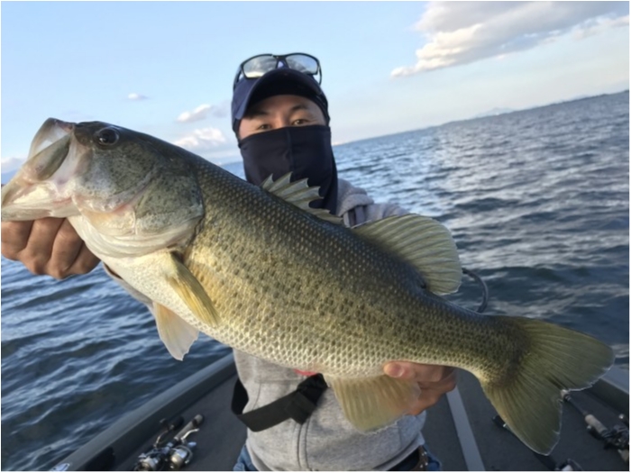 truth  ブログ写真 2020/10/14