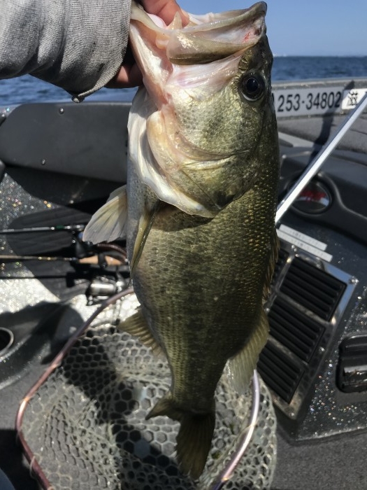 truth  ブログ写真 2020/10/15