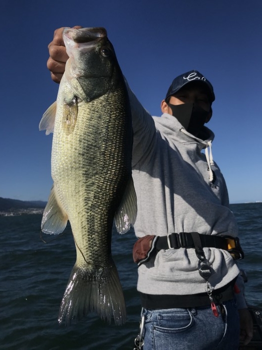 truth  ブログ写真 2020/10/15