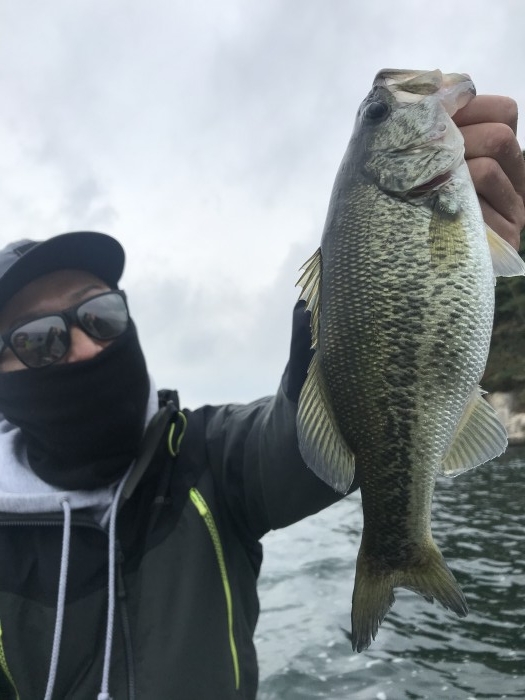 truth  ブログ写真 2020/10/19