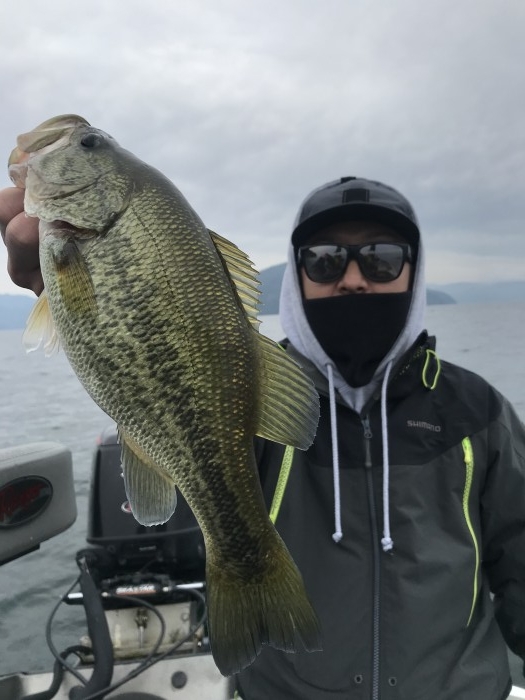 truth  ブログ写真 2020/10/19