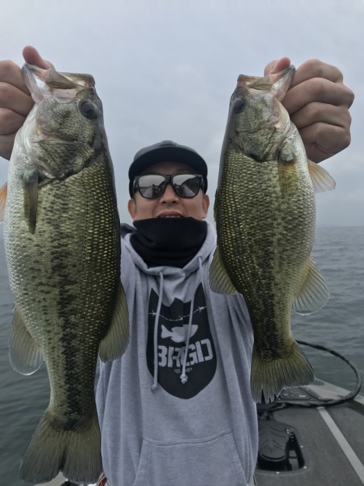 truth  ブログ写真 2020/10/19