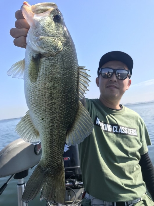 truth  ブログ写真 2020/10/20