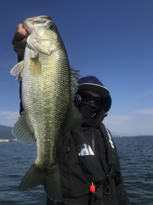 truth  ブログ写真 2020/10/21