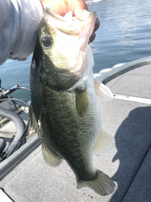 truth  ブログ写真 2020/10/21