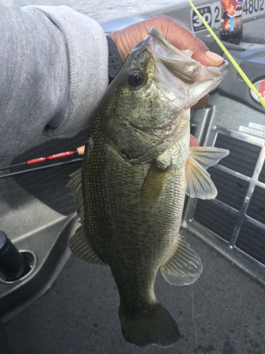 truth  ブログ写真 2020/10/21