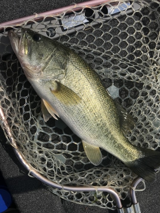 truth  ブログ写真 2020/10/21