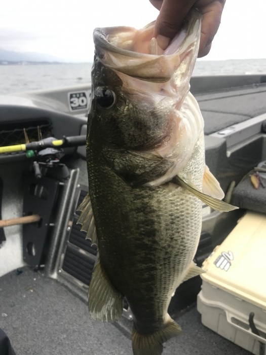 truth  ブログ写真 2020/10/22