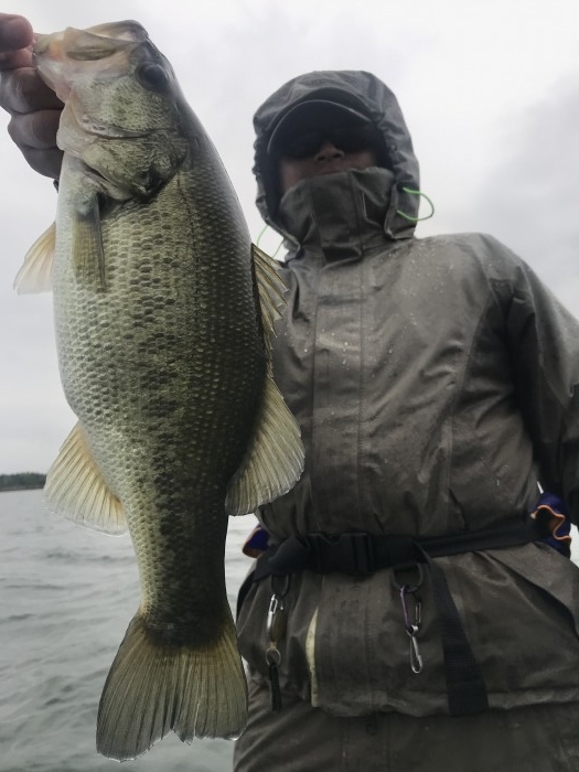 truth  ブログ写真 2020/10/22