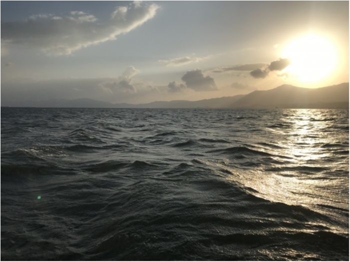 truth  ブログ写真 2020/10/23