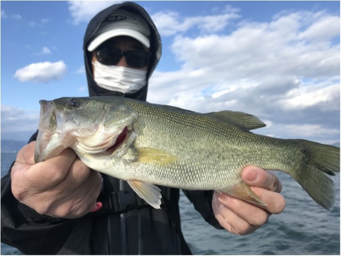 truth  ブログ写真 2020/10/24