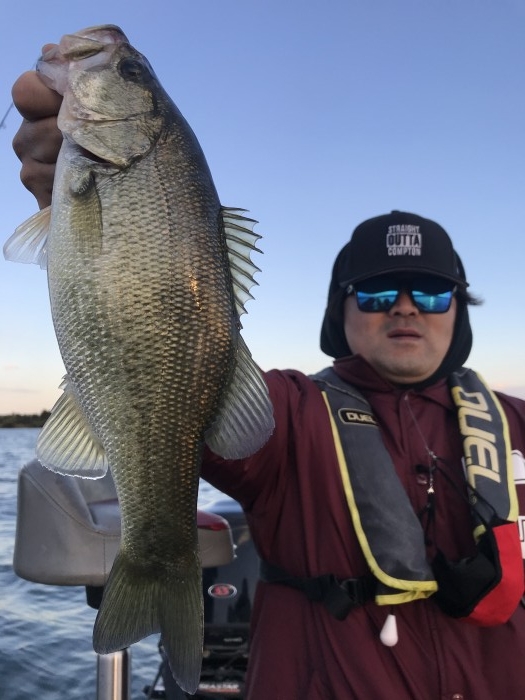 truth  ブログ写真 2020/10/24