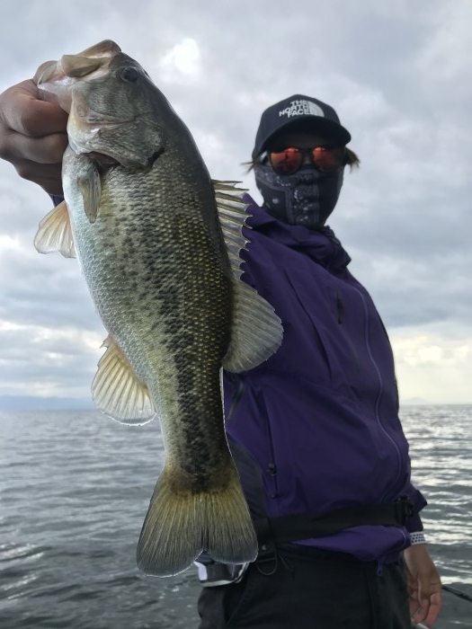 truth  ブログ写真 2020/10/27