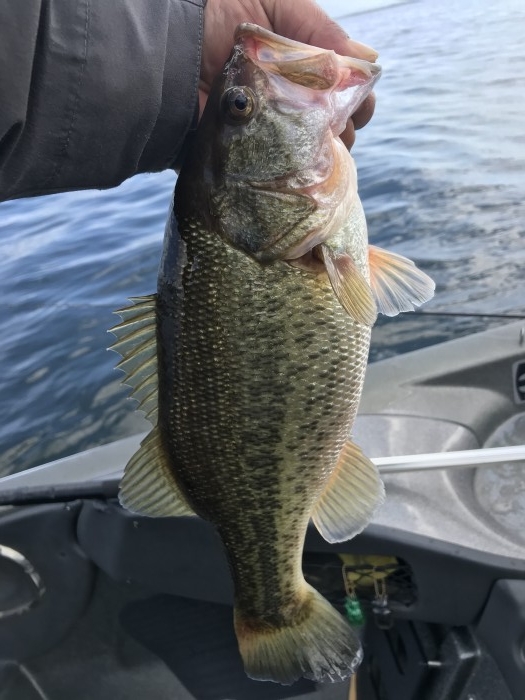 truth  ブログ写真 2020/10/27