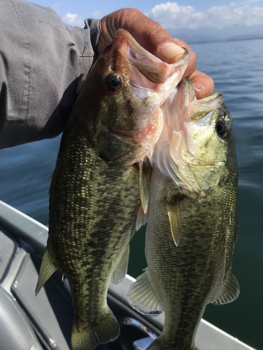 truth  ブログ写真 2020/10/27