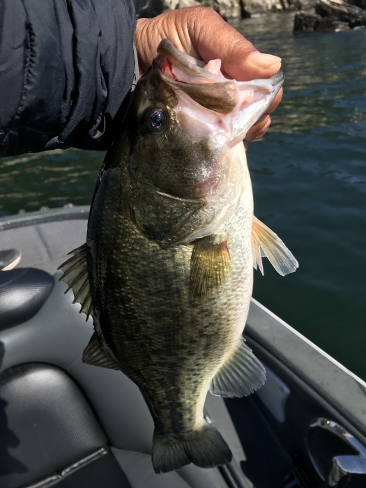 truth  ブログ写真 2020/10/27