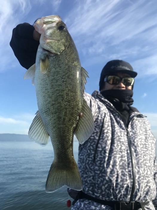 truth  ブログ写真 2020/10/27