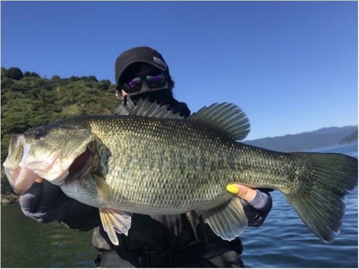 truth  ブログ写真 2020/10/27