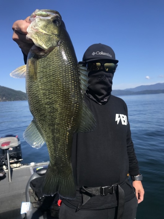 truth  ブログ写真 2020/10/27