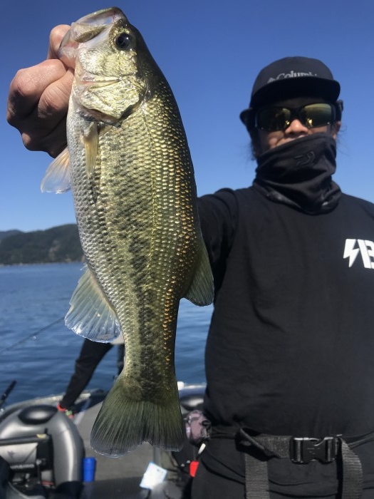 truth  ブログ写真 2020/10/27