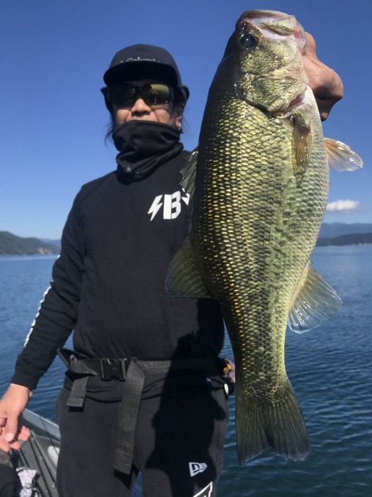 truth  ブログ写真 2020/10/27