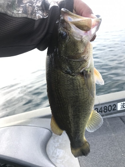 truth  ブログ写真 2020/11/01