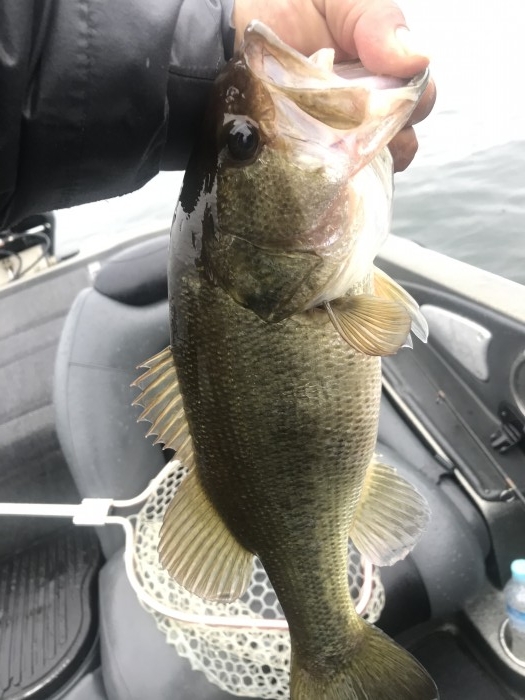 truth  ブログ写真 2020/11/02