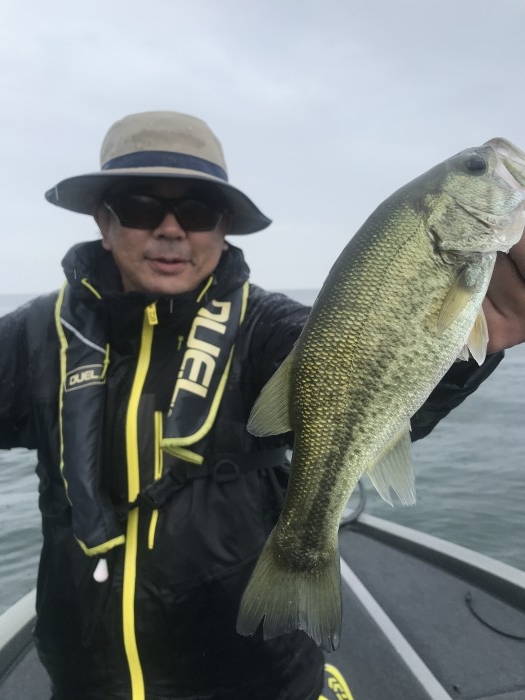 truth  ブログ写真 2020/11/02