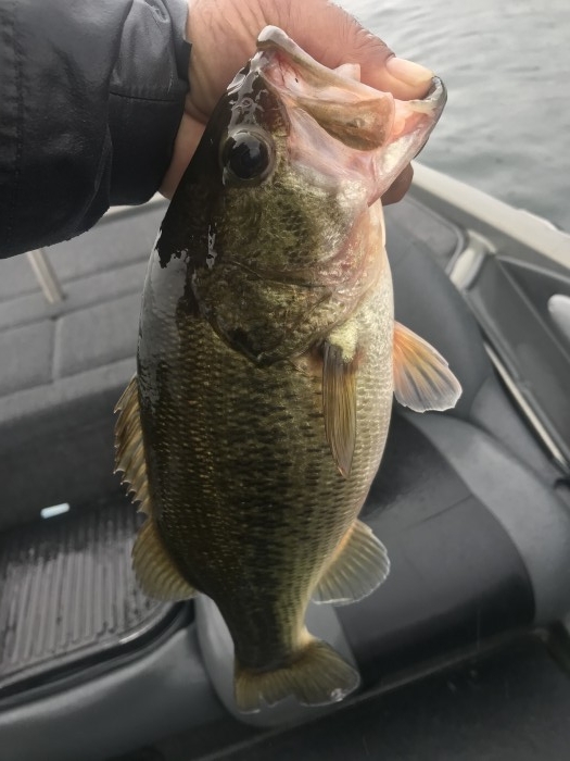 truth  ブログ写真 2020/11/02