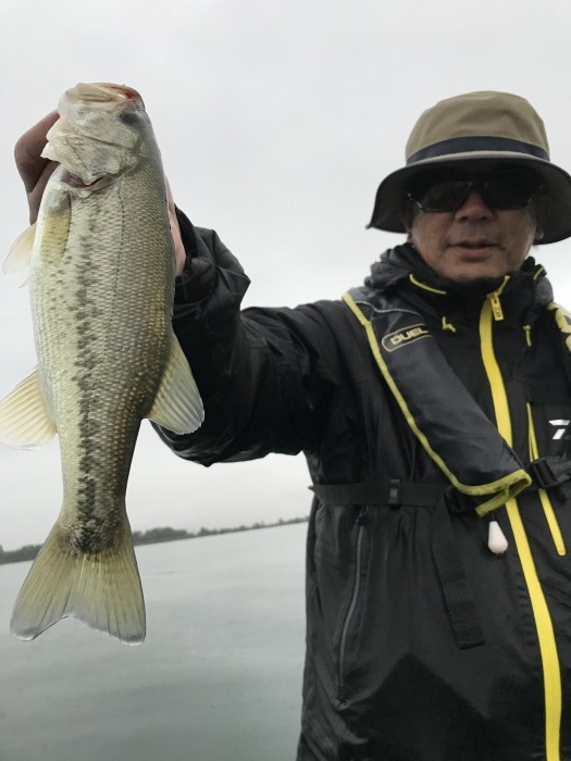 truth  ブログ写真 2020/11/02