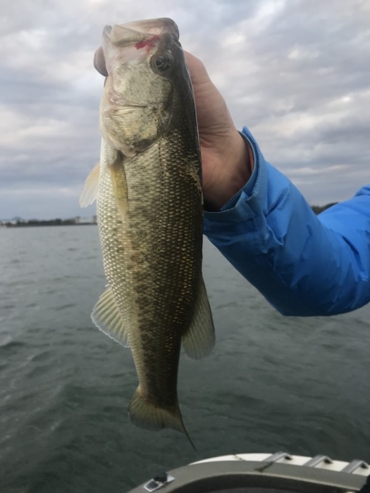 truth  ブログ写真 2020/11/04