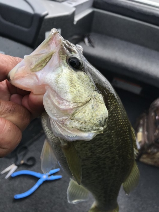 truth  ブログ写真 2020/11/06