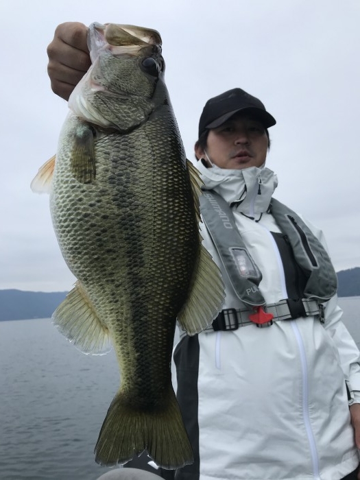 truth  ブログ写真 2020/11/07