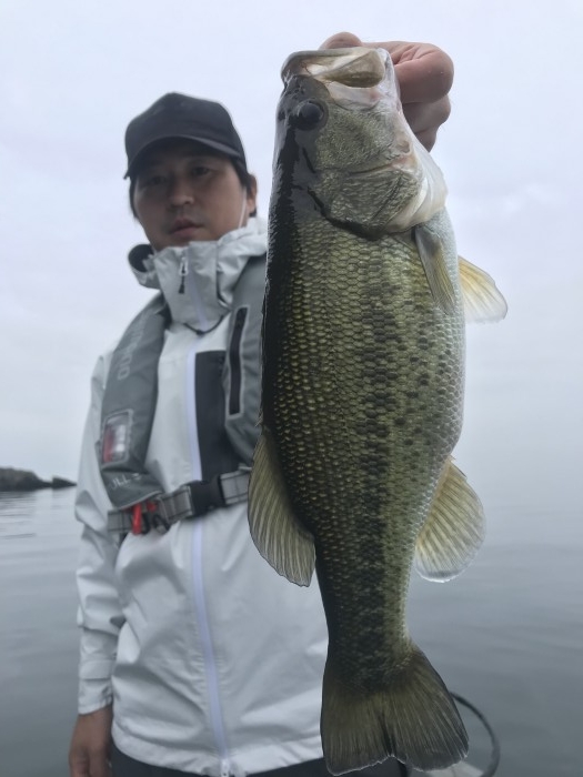 truth  ブログ写真 2020/11/07