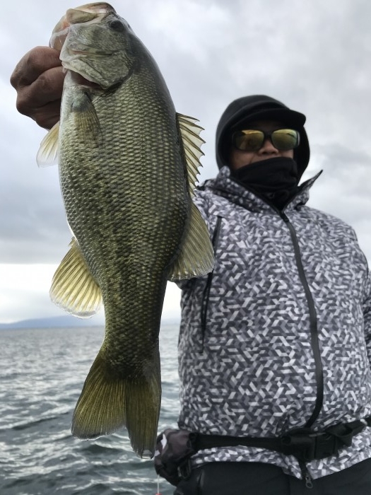 truth  ブログ写真 2020/11/11